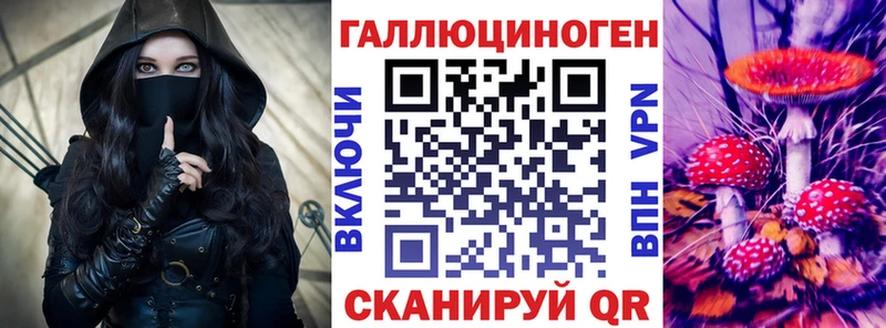 Галлюциногенные грибы Psilocybe  Купить закладки  Усть-Джегута 